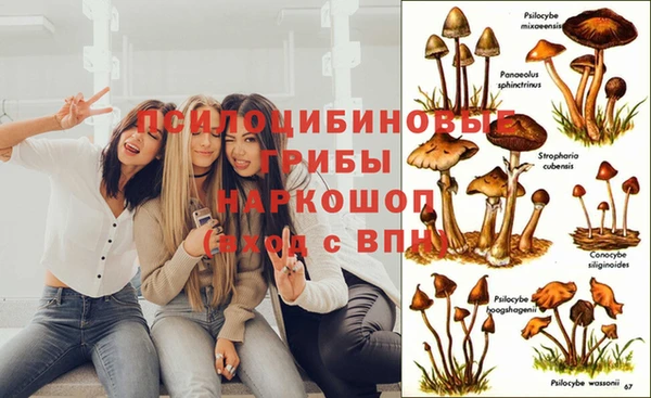 стафф Алапаевск