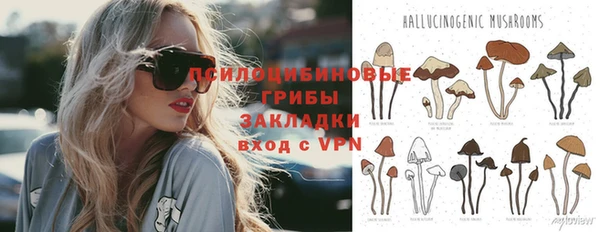 крисы Ачинск