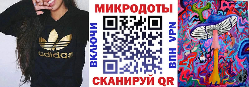 где купить наркоту Буинск Галлюциногенные грибы Psilocybine cubensis